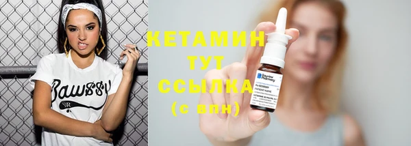 крисы Пересвет