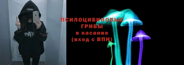 крисы Пересвет