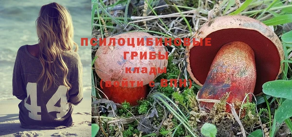 ALPHA-PVP Покров