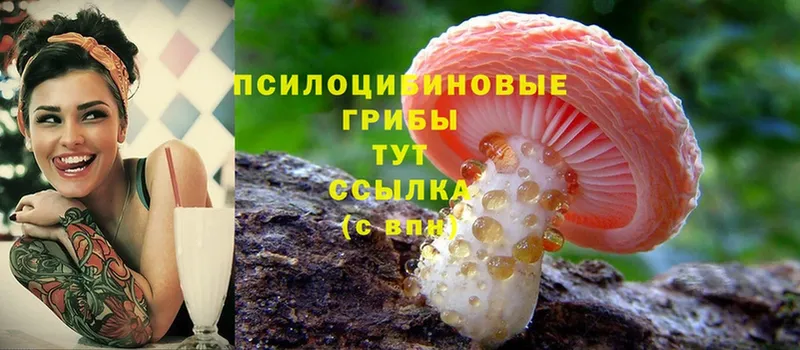 купить  сайты  omg маркетплейс  Галлюциногенные грибы Psilocybe  Апшеронск 